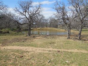 426 County Road 194 - Photo 34