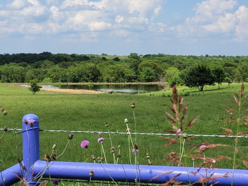 TBD County Road 212 - Photo 1