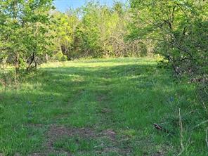 TBD County Road 212 - Photo 12