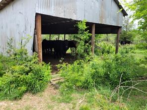 TBD County Road 212 - Photo 13