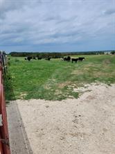TBD County Road 212 - Photo 14
