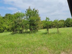 TBD County Road 212 - Photo 15