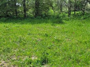 TBD County Road 212 - Photo 16