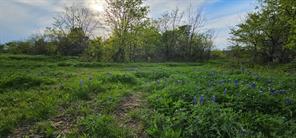TBD County Road 212 - Photo 19