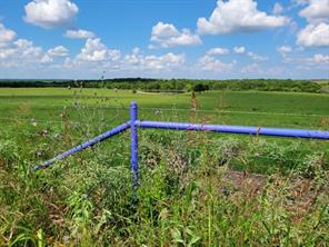TBD County Road 212 - Photo 2