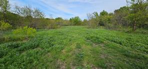 TBD County Road 212 - Photo 20