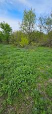 TBD County Road 212 - Photo 21