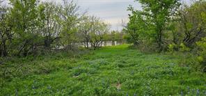 TBD County Road 212 - Photo 26