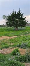 TBD County Road 212 - Photo 28