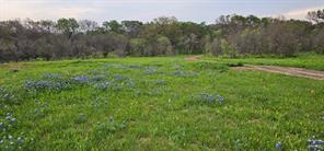 TBD County Road 212 - Photo 3