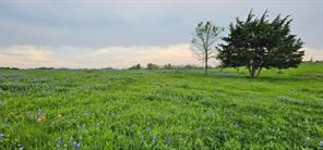 TBD County Road 212 - Photo 30