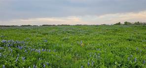 TBD County Road 212 - Photo 31