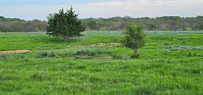 TBD County Road 212 - Photo 4