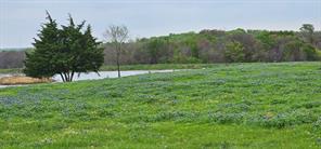 TBD County Road 212 - Photo 5