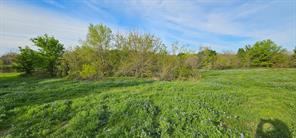TBD County Road 212 - Photo 7