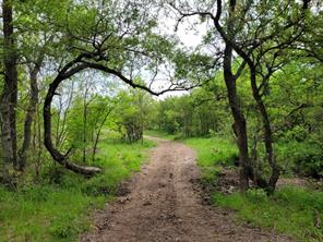 TBD County Road 212 - Photo 9