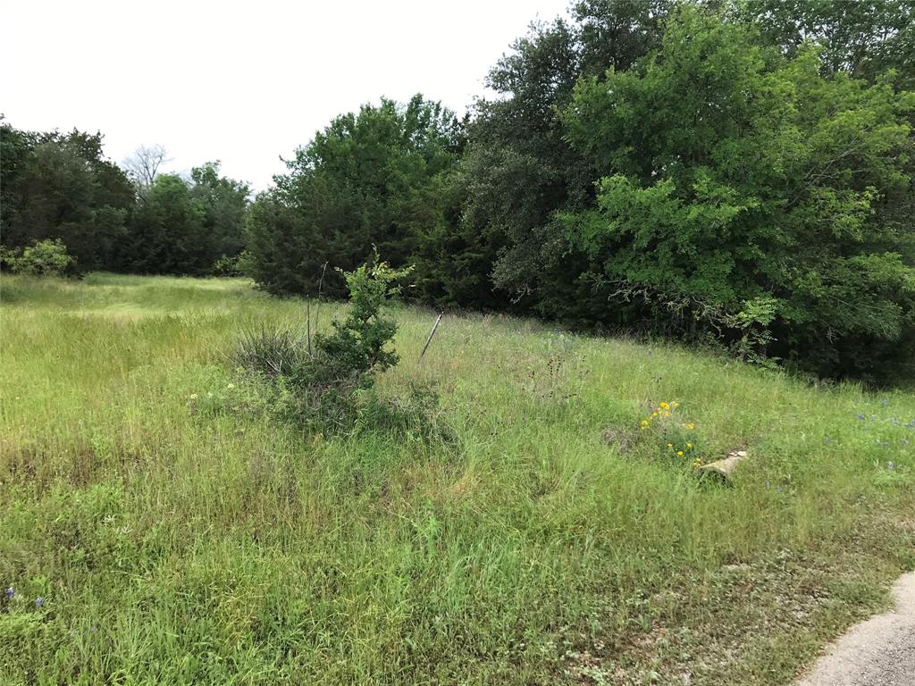 1414 Lakeside Trail - Photo 2