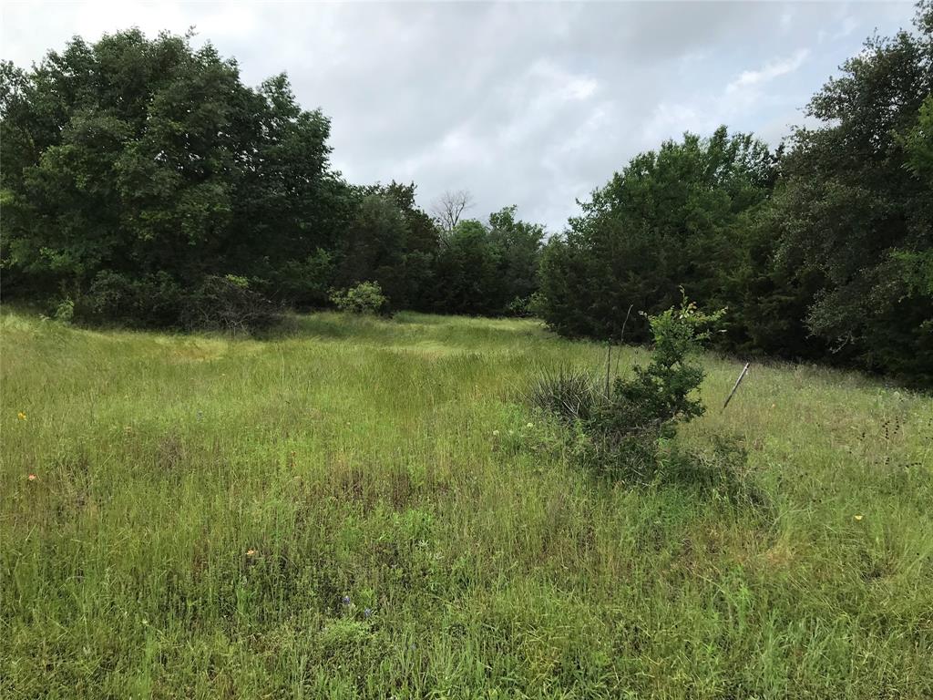 1414 Lakeside Trail - Photo 3