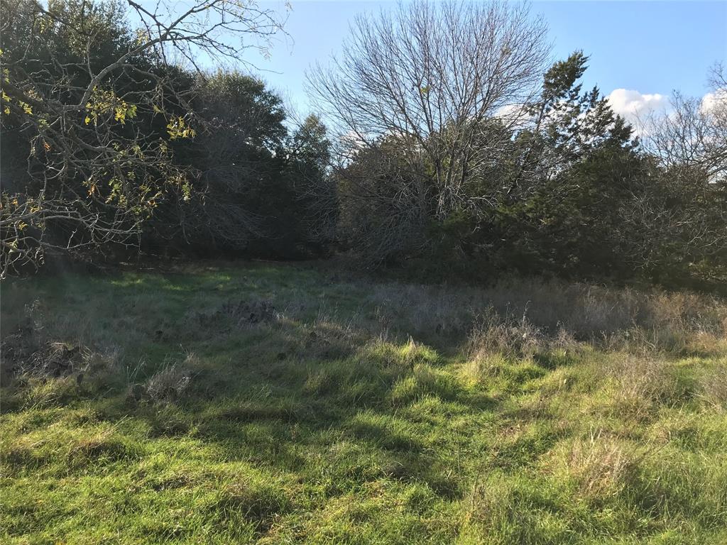 1414 Lakeside Trail - Photo 8