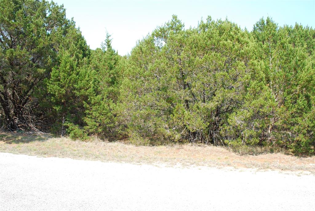 12101 Oak Dale Drive - Photo 2