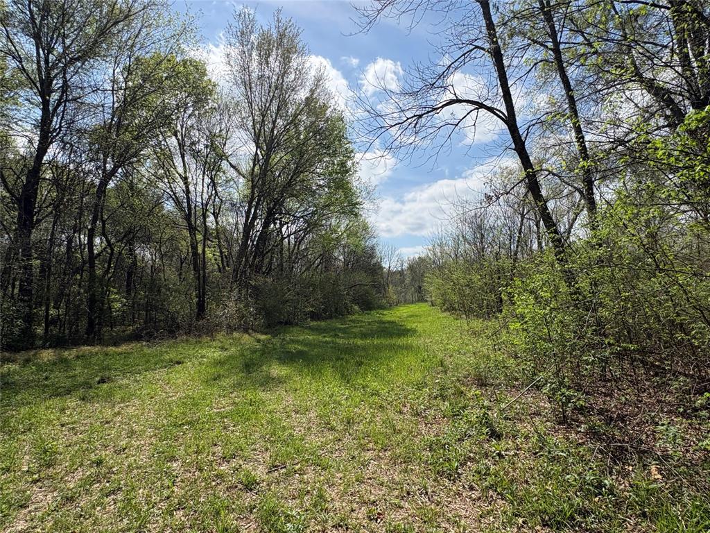 TDB County Road 3502 - Photo 13