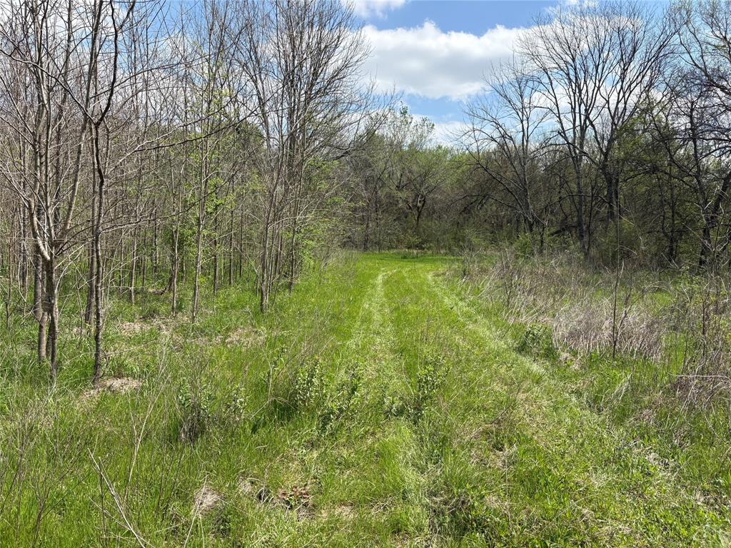 TDB County Road 3502 - Photo 17