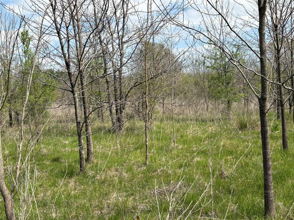 TDB County Road 3502 - Photo 19