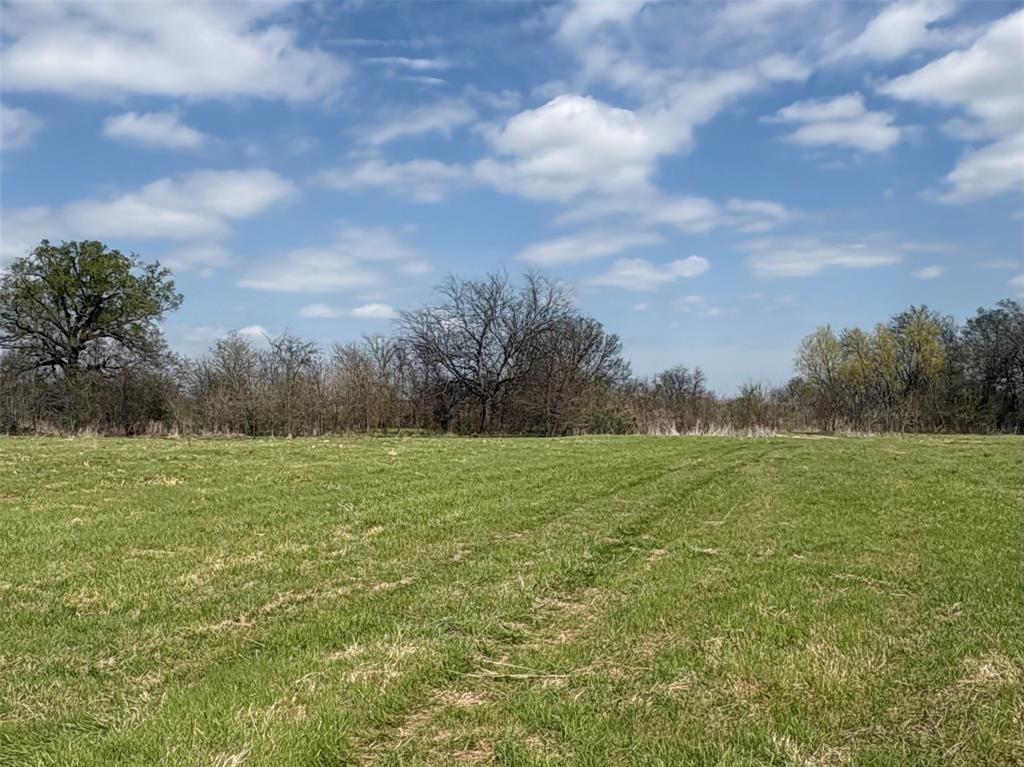 TDB County Road 3502 - Photo 2