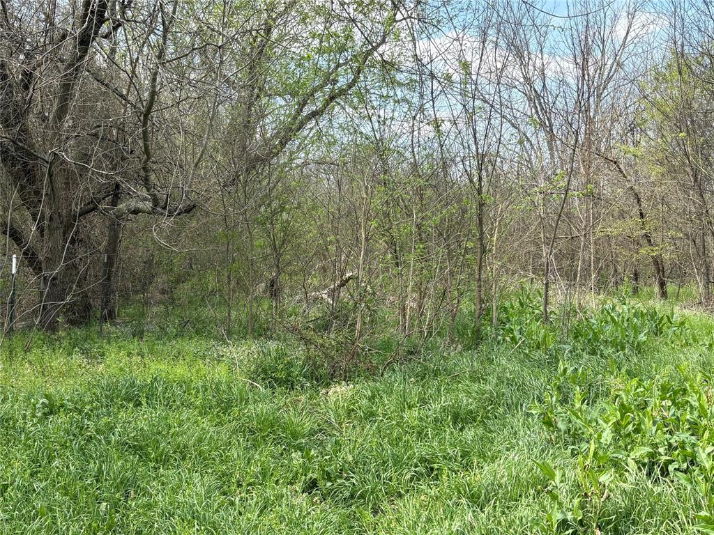 TDB County Road 3502 - Photo 22