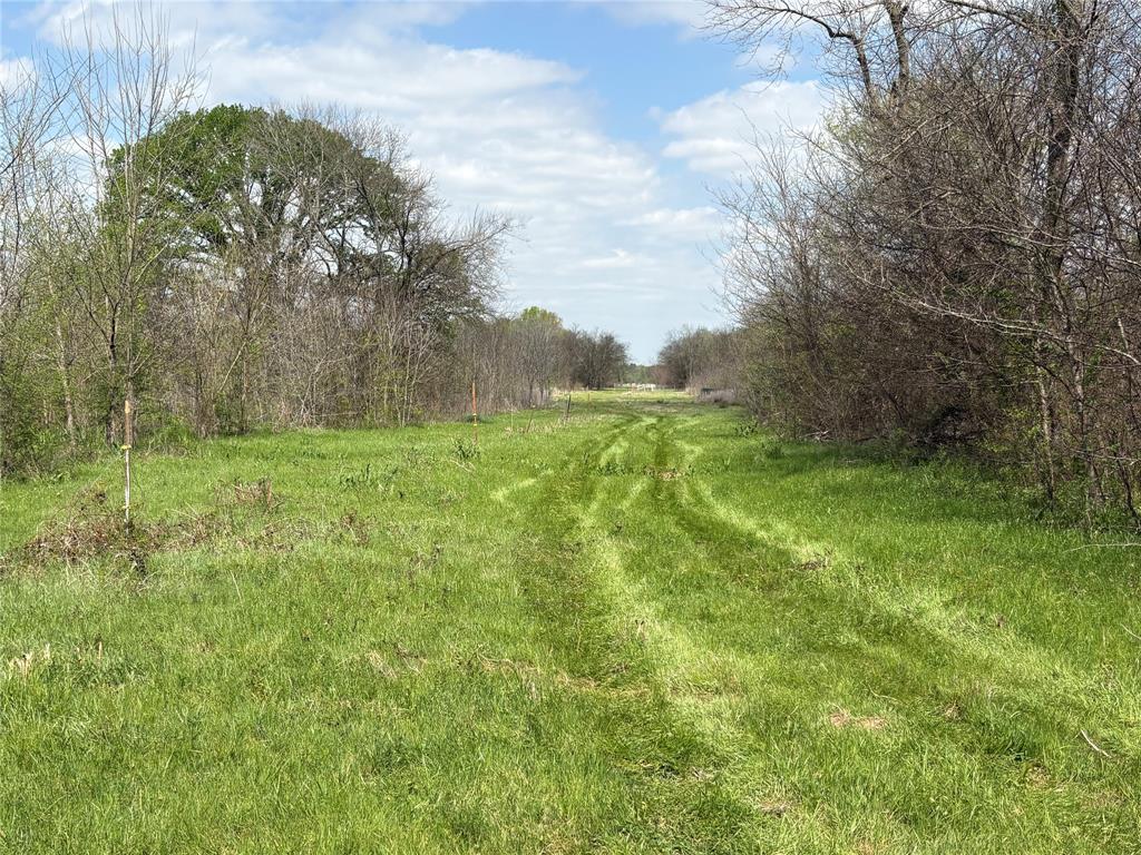 TDB County Road 3502 - Photo 26