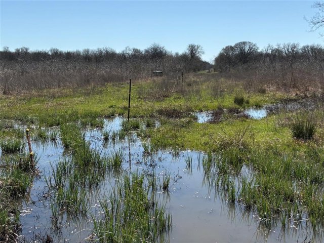 Photo 34