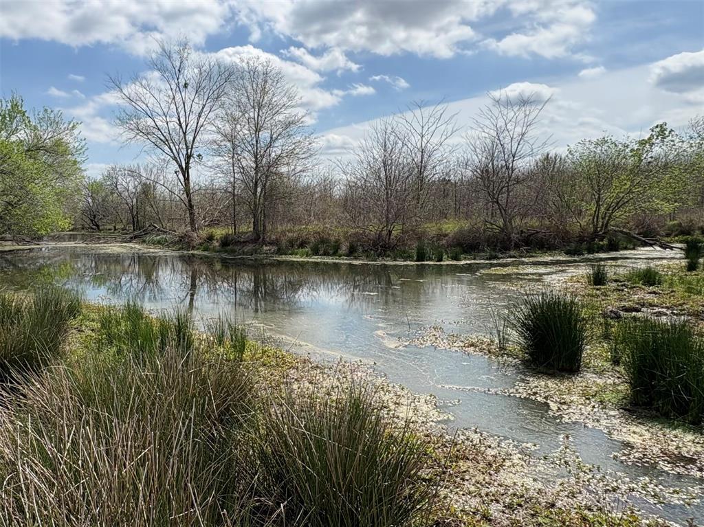 TDB County Road 3502 - Photo 6