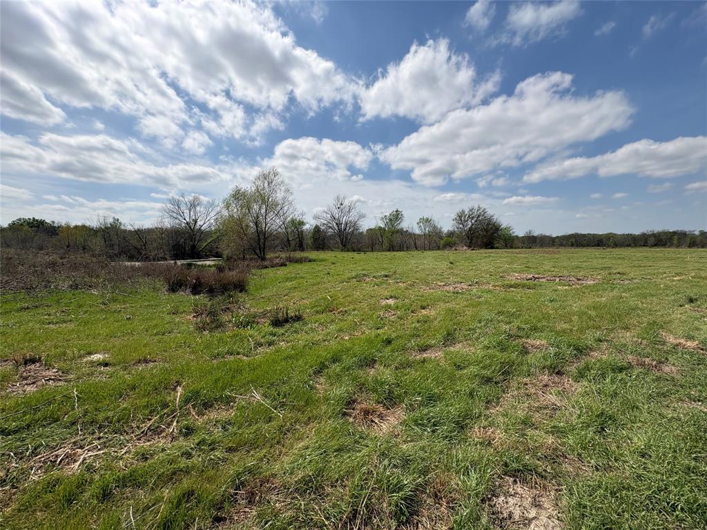 TDB County Road 3502 - Photo 8