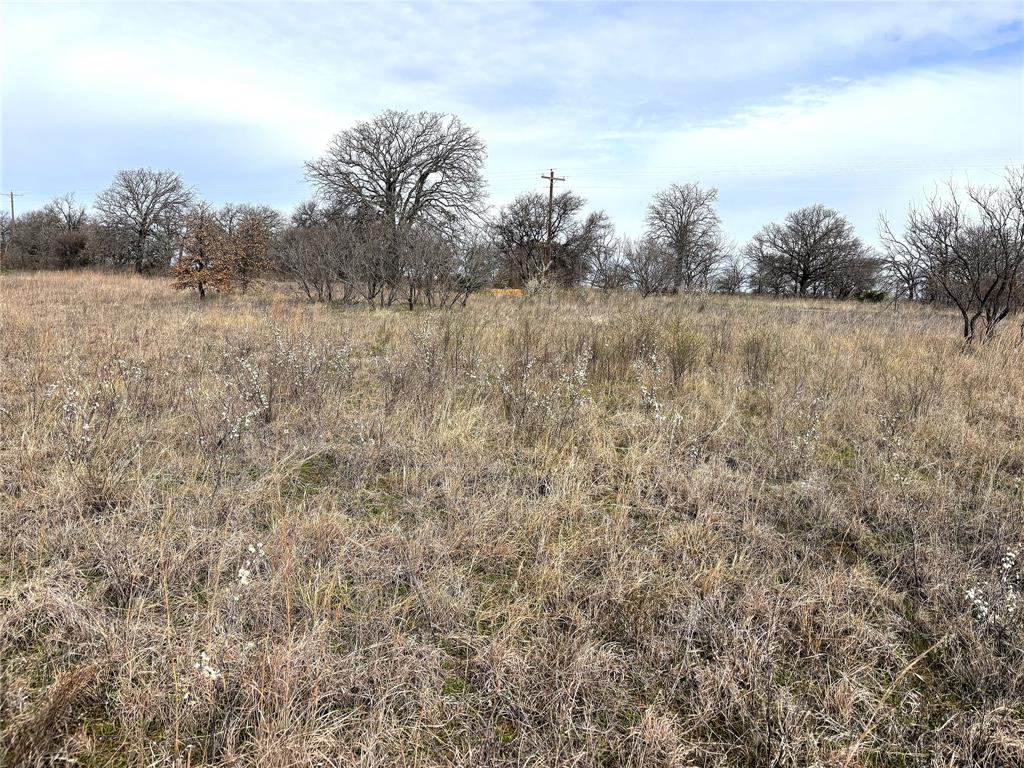 8.39 Acres FM 174 - Photo 10