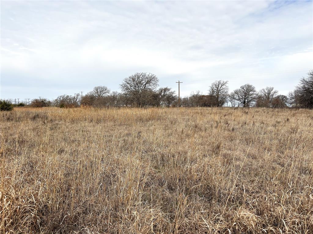 8.39 Acres FM 174 - Photo 12