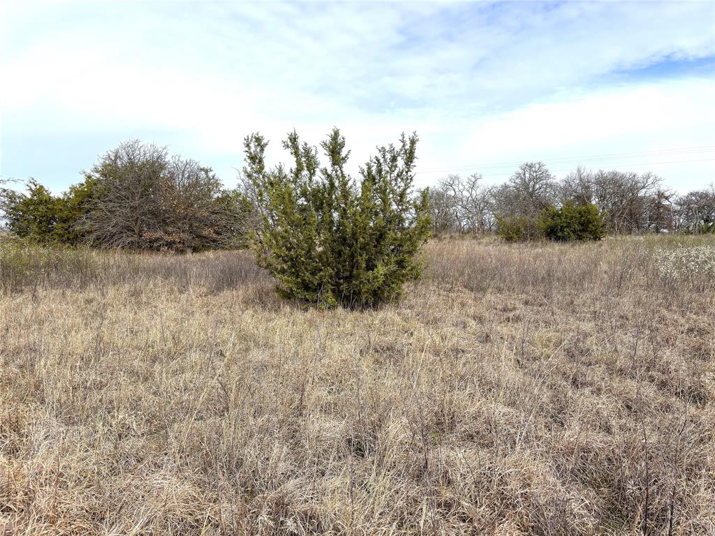 8.39 Acres FM 174 - Photo 13