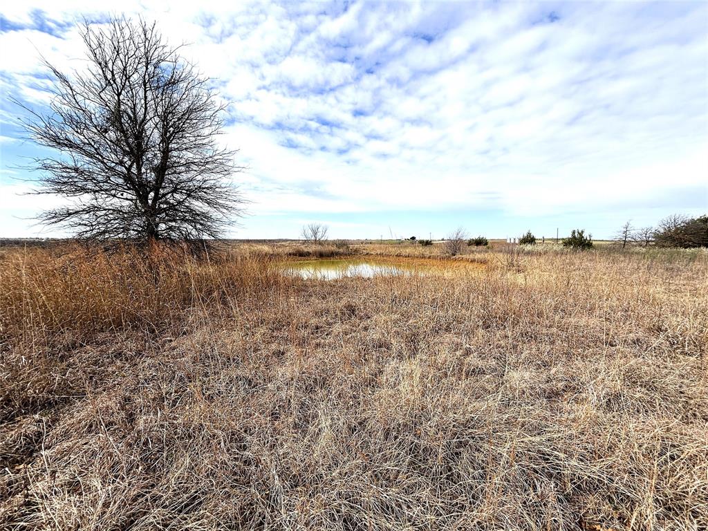 8.39 Acres FM 174 - Photo 4