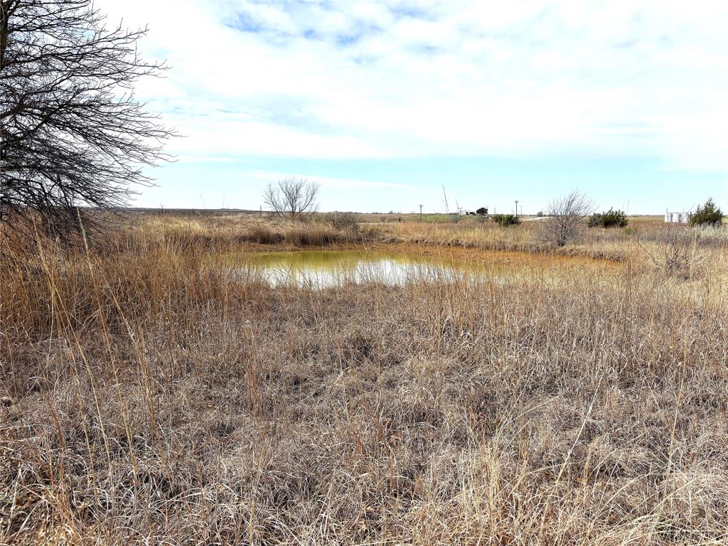 8.39 Acres FM 174 - Photo 5