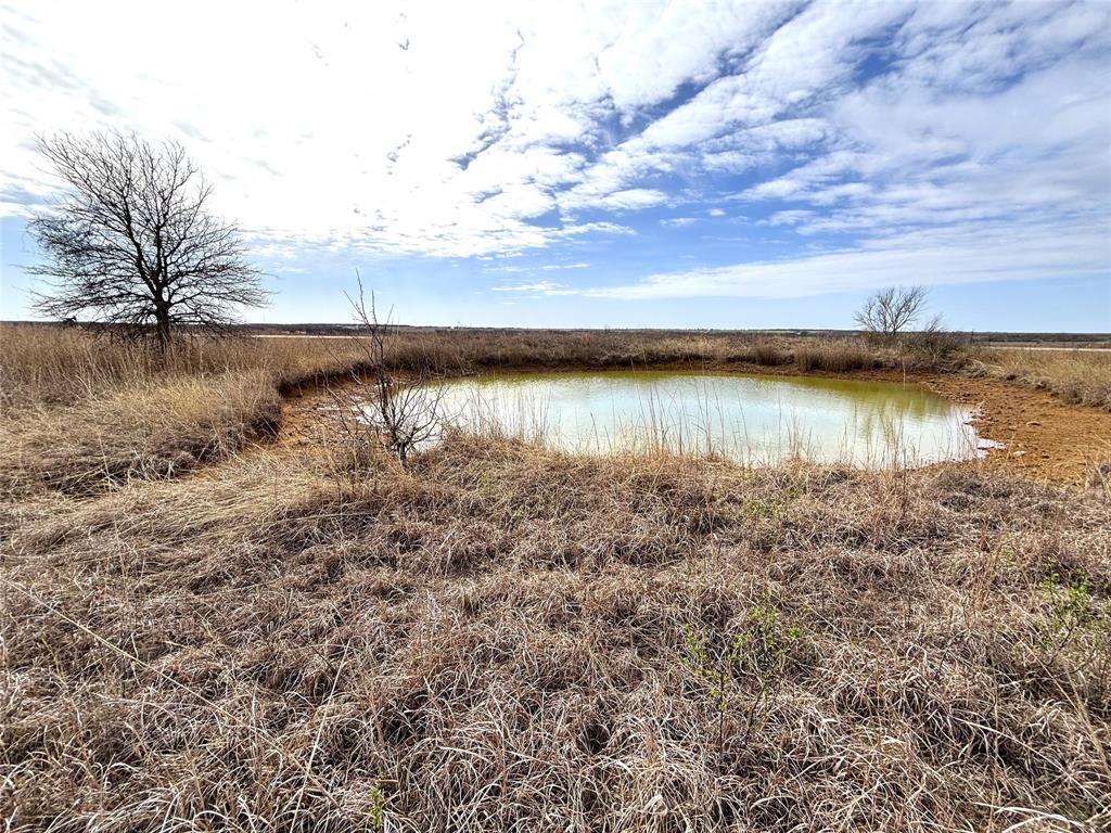 8.39 Acres FM 174 - Photo 6