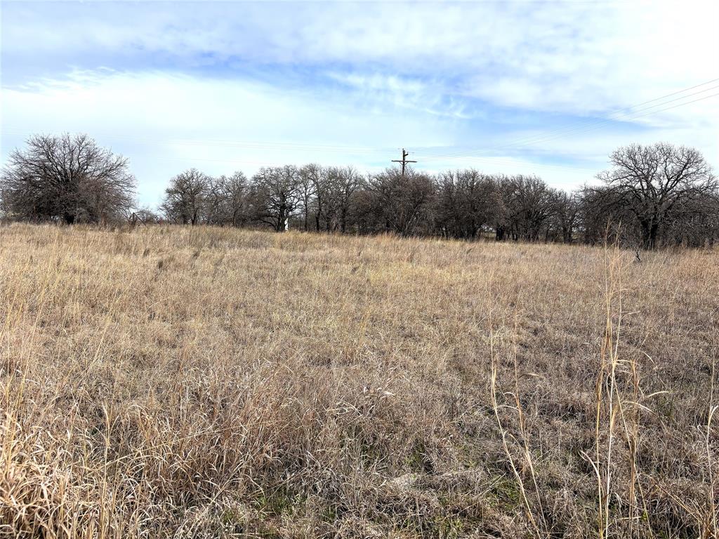 8.39 Acres FM 174 - Photo 8