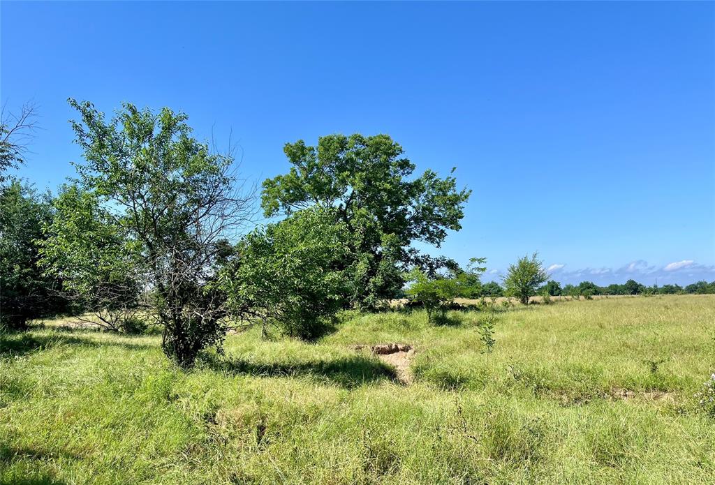 000 FM 71 - Photo 1