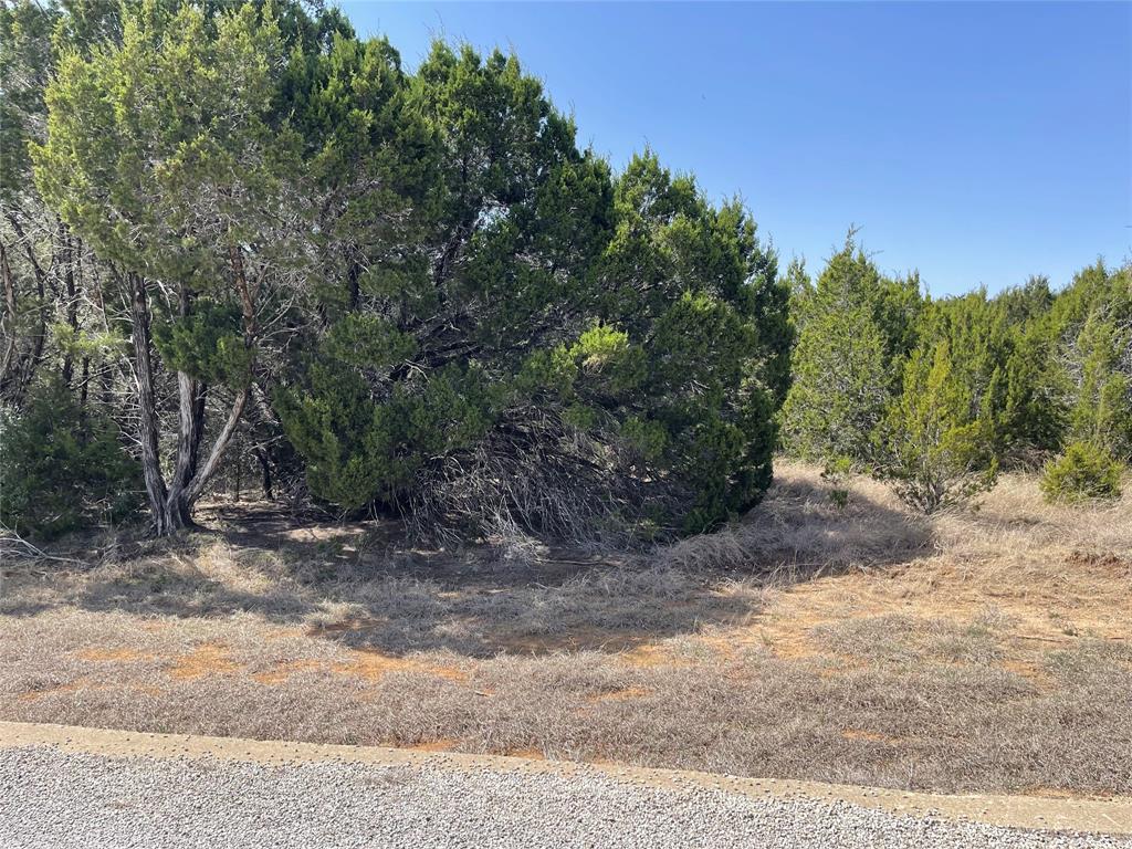 39027 Cedar Trail - Photo 2