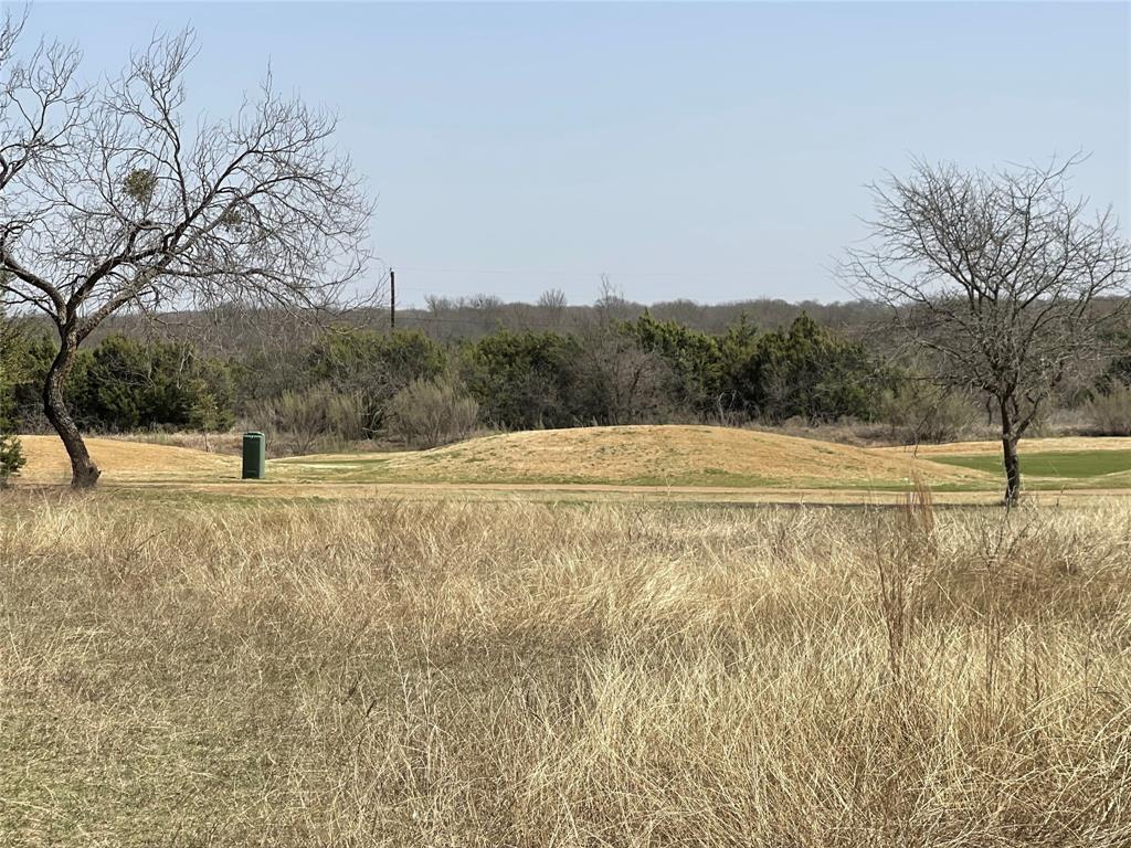 39027 Cedar Trail - Photo 3