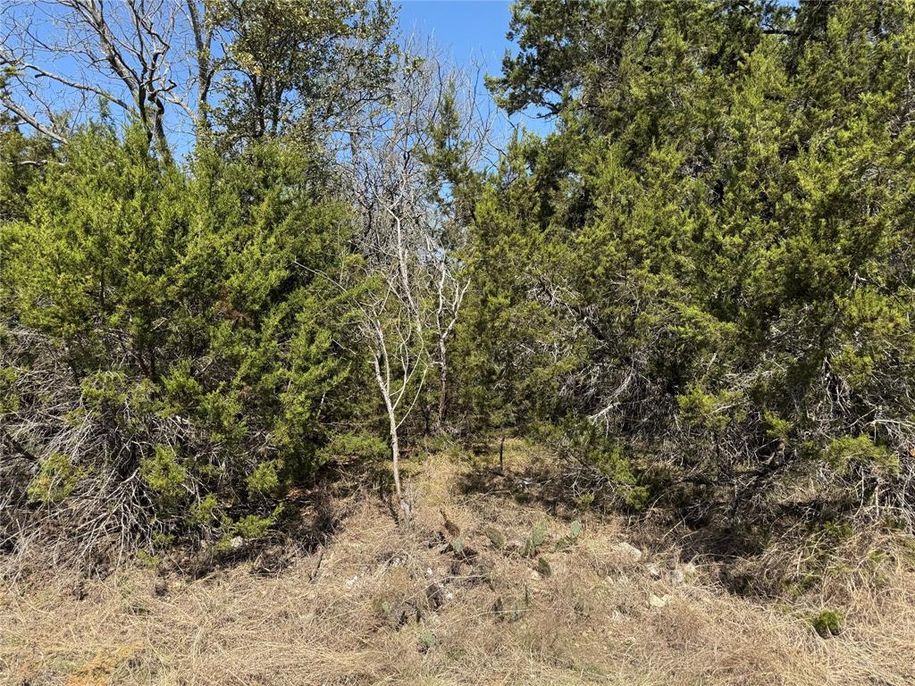 17151 Woodway Drive - Photo 4