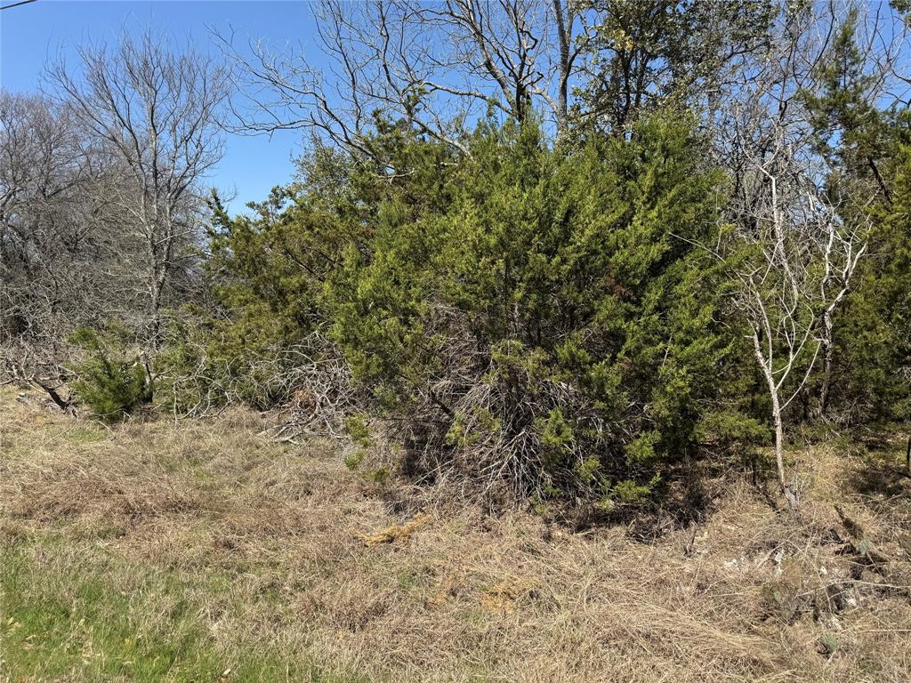 17151 Woodway Drive - Photo 6