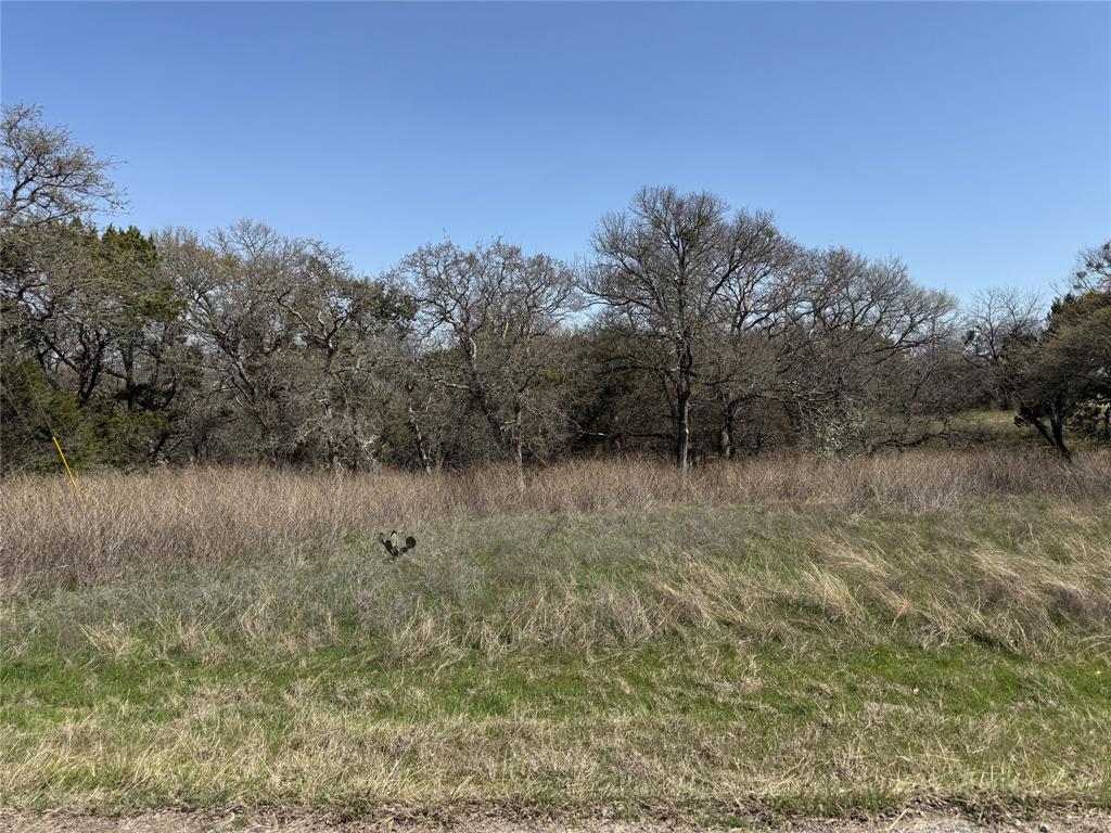10053 Bluffview Court - Photo 1