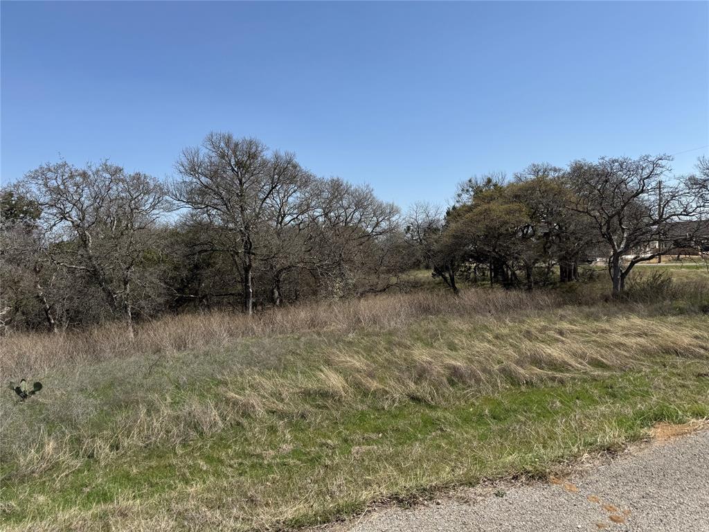 10053 Bluffview Court - Photo 3