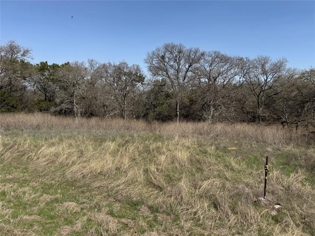 10053 Bluffview Court - Photo 4