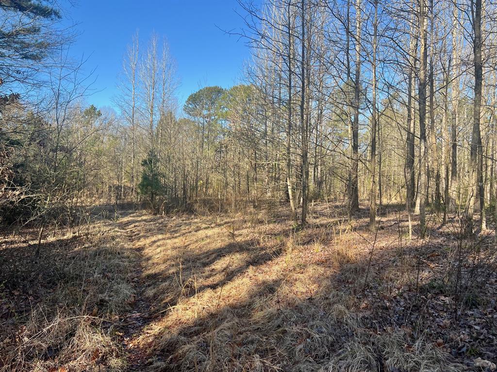 TBD CR 1670 - Photo 4