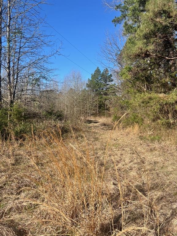 TBD CR 1670 - Photo 7